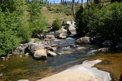 DSC_3795 (Large).JPG